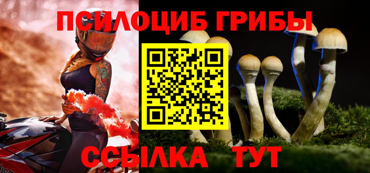 Алатырь  Галлюциногенные грибы Psilocybe  Вход с VPN 